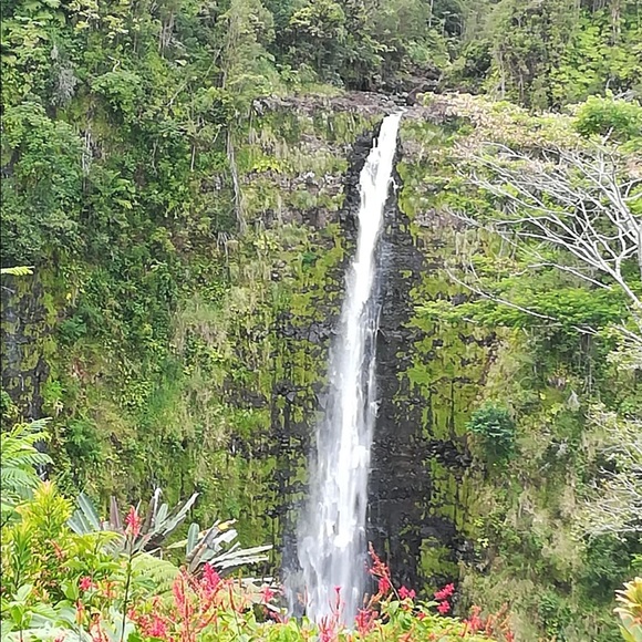 Meet your Poshers Lora and Marcy - Picture 5 of 7